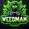 22weedman22's game picture on Twitch