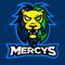 android_mercys's game picture on Twitch