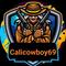 calicowboy69's game picture on Twitch