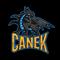 canek84's game picture on Twitch