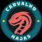 carvalho_najas's game picture on Twitch