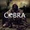 cobra_tg's game picture on Twitch