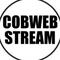 cobweb_stream's twitch channel picture