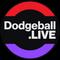 dodgeball's game picture on Twitch