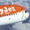 easyjetsimpilot's twitch channel picture