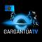 gargantua_tv's game picture on Twitch