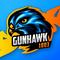 gunhawk1803's game picture on Twitch