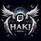 haki_dota's game picture on Twitch
