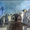 johnthypenguin's game picture on Twitch
