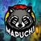 mapuchi__'s game picture on Twitch