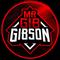 mrgibgibson's twitch channel picture