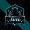 paiva_1990's game picture on Twitch