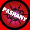 pashanyy's twitch channel picture