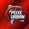 peixeurban's game picture on Twitch