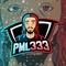 pml333's twitch channel picture