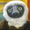 polarx_6's game picture on Twitch