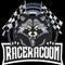 raceracoon's game picture on Twitch