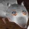 ratdude2244's game picture on Twitch