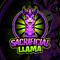 sacrificialllama_'s twitch channel picture