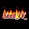 seed_tv_'s game picture on Twitch