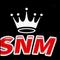 snmlive1's game picture on Twitch