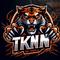 tknn_'s game picture on Twitch