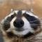 trashpandafn's game picture on Twitch