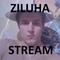 z1luha's game picture on Twitch