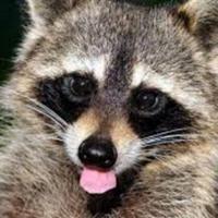 0__skitls__0's Twitch profile picture