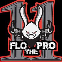 11flothepro11's Twitch profile picture