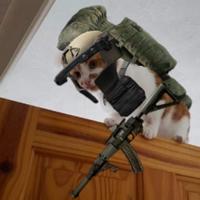 140pingabuser's Twitch profile picture