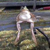 52shotzz's Twitch profile picture