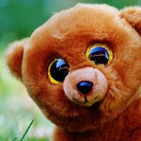 7777bear7777's Twitch profile picture
