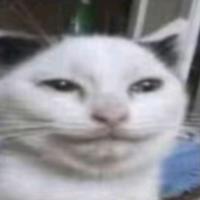 78vanyak's Twitch profile picture