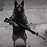 akashezin's Twitch profile picture