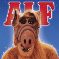 alf_deutsch's Twitch profile picture
