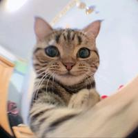 alonzb's Twitch profile picture