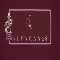 alpacan28's Twitch profile picture