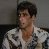 amier's Twitch profile picture