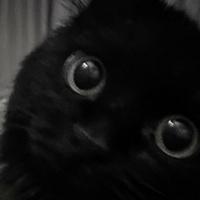 anfluat's Twitch profile picture