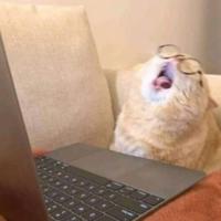 angeltakkyp's Twitch profile picture