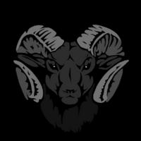 arieslive__'s Twitch profile picture