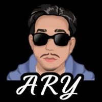 ary_au's Twitch profile picture