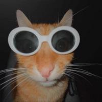 asapdacreep's Twitch profile picture