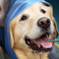 ascendancydota's Twitch profile picture