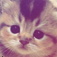 aw02u's Twitch profile picture