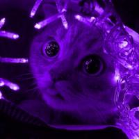 ayawth's Twitch profile picture