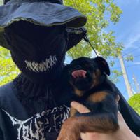 azurev_v's Twitch profile picture