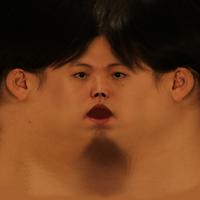 baaulp's Twitch profile picture