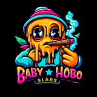 babyhoboslabs's Twitch profile picture